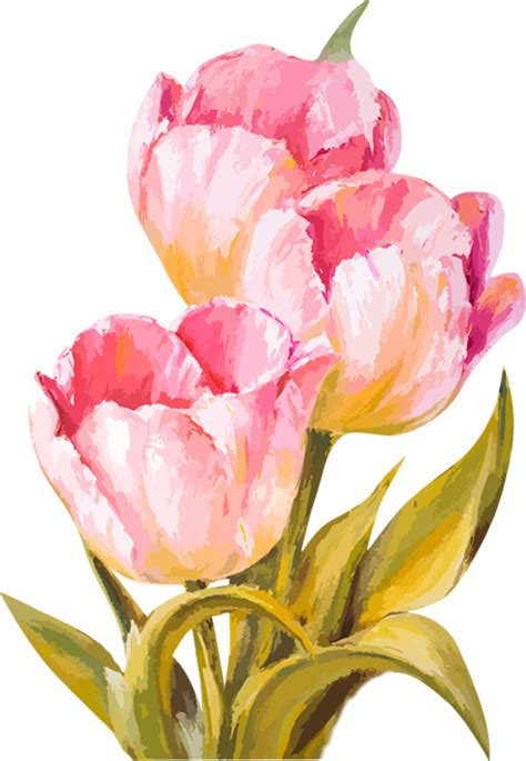 Tulips Art Watercolor Flowers Paintings Watercolor Cards Floral