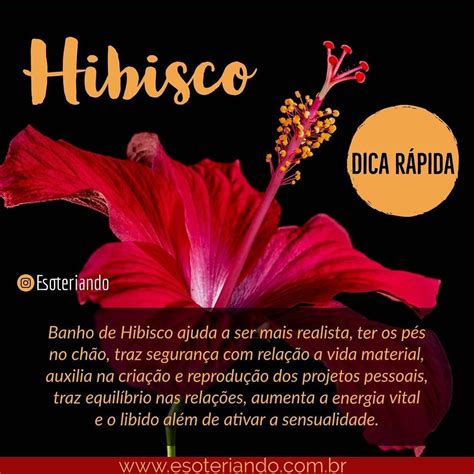 Aprender Sobre Imagem Banho De Hibisco Canela E A Car Br