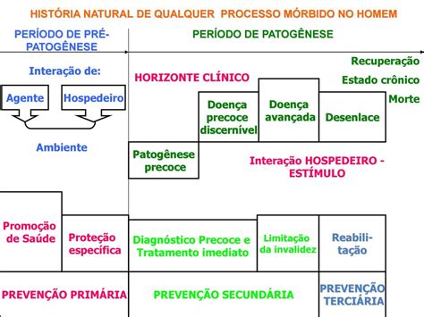 Conteúdo Modelo multicausal História Natural das Doenças ppt carregar