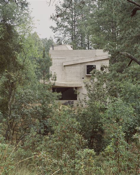 Casa Alférez The Concrete Haven Among Majestic Pine Trees HomeAdore