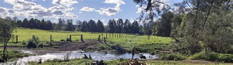 Eden Brae Farm Hipcamp In Rollands Plains New South Wales