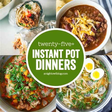 25 Instant Pot Dinner Recipes A Night Owl Blog