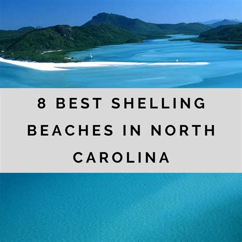 8 Best Shelling Beaches In North Carolina With Amazing Souvenirs