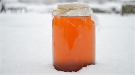 Best Temperature For Kombucha | Great Kombucha