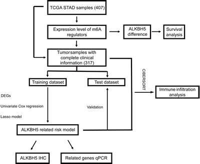 Frontiers Identification And Validation Of Signature For Prognosis