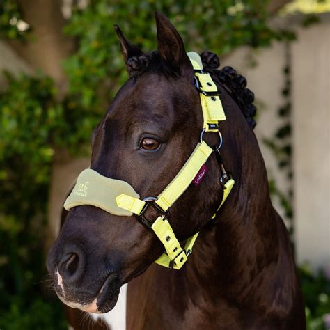 Lemieux Mini Vogue Fleece Headcollar With Leadrope Kiwi Charlies