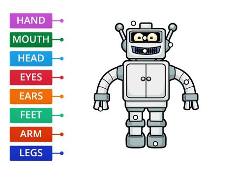 Parts Of The Body Robot Diagrama Etiquetado