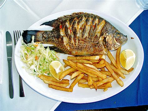 Aquaculture Fish Farming Of Tilapia At Home Worldwide Aquaculture