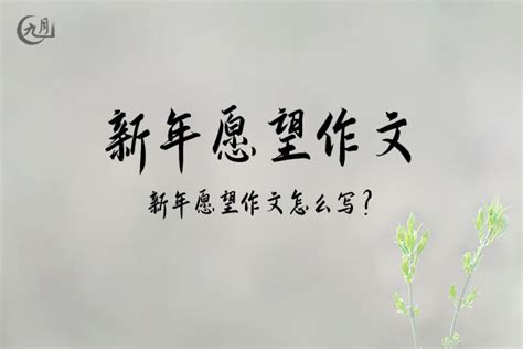 新年愿望作文400字（30篇）