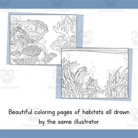 Ocean Habitat Coloring Pages | Line Art Templates | Biome Art Project ...