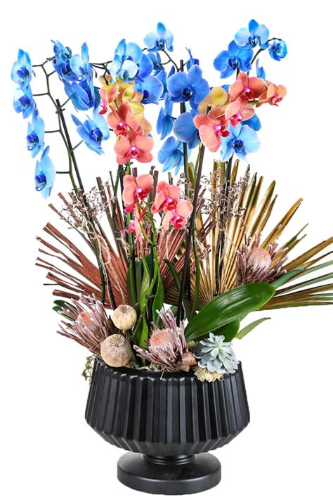 Blue And Orange Luxury Orchid Taze Çiçek