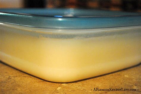 Two Ways To Render Lard And What To Use It For A Farmish Kind Of Life