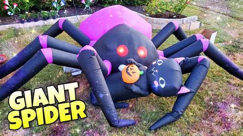 Giant Inflatable Spider Black Cat Blow Ups Amazon At Home