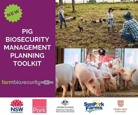 The Pig Biosecurity Management Planning Toolkit Local Land Services