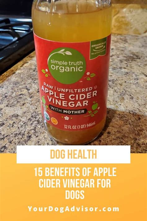 15 Benefits of Apple Cider Vinegar for Dogs | Your Dog Advisor