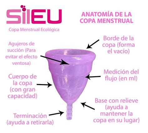 Partes De Una Copa Menstrual Sileu Cup Copas Menstruales Y Accesorios