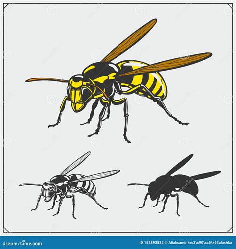 设置黄蜂例证和剪影 危险刺痛的昆虫收藏 R 向量例证 插画 包括有 寻呼机 土蜂 大黄蜂 徽标 153893832