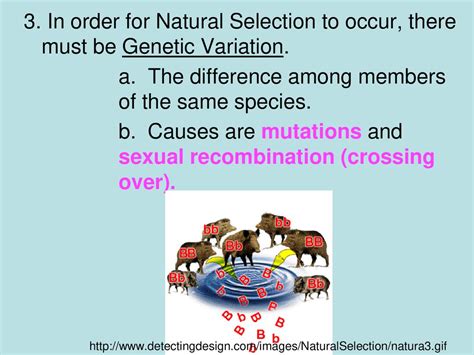 Iii Darwins Theory Of Natural Selection Ppt Download