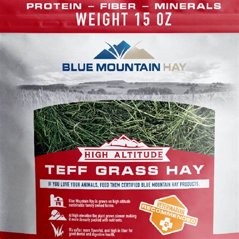 Teff Hay For Sale | Teff Grass Hay For Sale | BMH