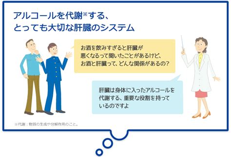 アルコール代謝のしくみ｜人とお酒のイイ関係｜アサヒビール