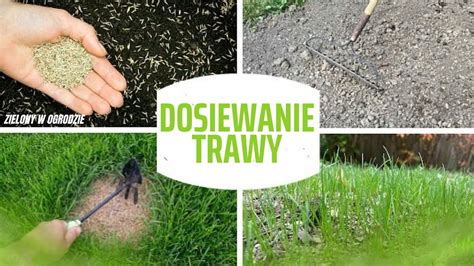 Dosiewanie trawy sprawdzony sposób na dziury w trawniku YouTube