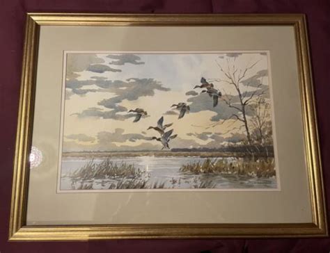 John Paley Ducks Watercolour Painting Ebay