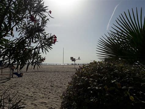 Playa del Puerto De Sagunto Qué saber antes de ir Lo más comentado