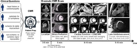 30 minute CMR for common clinical indications Â aÂ Society for