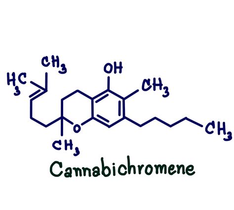 What Is Cbc Oil Cannabichromene Cbc And Why It S The Next Cbd