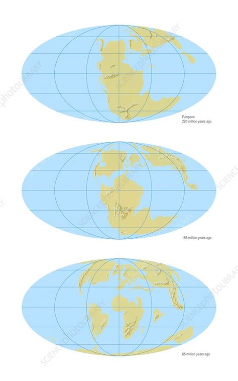 Facts About Pangaea, Ancient Supercontinent Live Science, 50% OFF