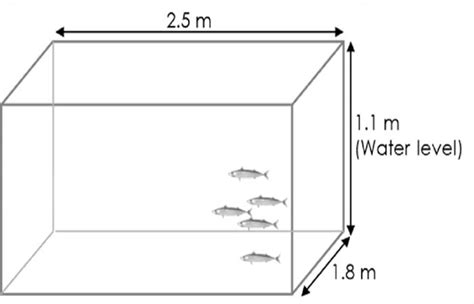 Fish Tank Size Calculation(Dimensions & Volume) - Petaddon