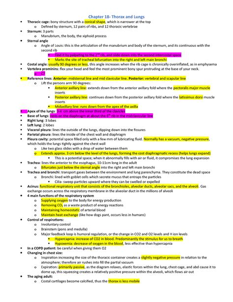 Exam 2 Study Guide Chapter 18 Thorax And Lungs Thoracic Cage Bony