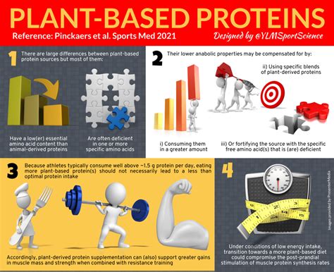 Athlete’s Guide To Plant Based Protein Ylmsportscience