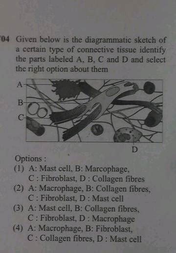 04 Given Below Is The Diagrammatic Sketch Of A Certain Of Connective