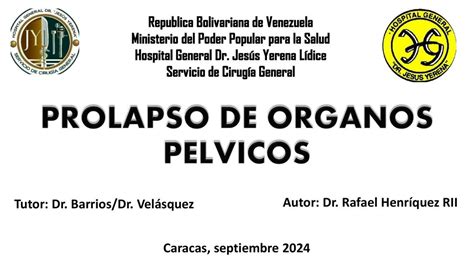 Prolapso Organos Pelvicos Delvis Udocz