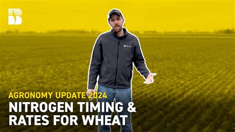 Nitrogen Timing And Rates On Wheat Becks Agronomy Update Youtube