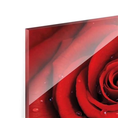 Rote Rose Mit Wassertropfen Glasbild Im Querformat Bilderwelten