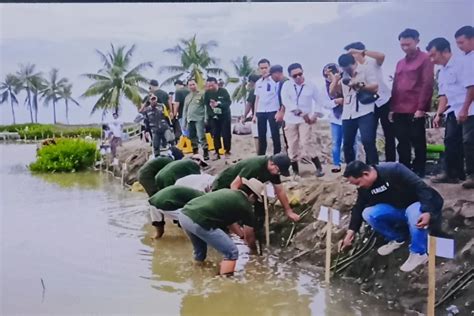 Peringatan Hari Lingkungan Hidup Sedunia Dlhk Bulukumba Akan Melakukan