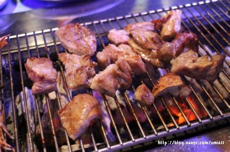 홍대 양꼬치 양갈비 맛집 서양관 높은 퀄러티에 양고기 가성비갑 네이버 블로그