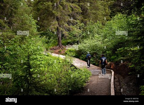 Hiking Trail Winner Creek Chugach National Forest Alaska Usa Stock