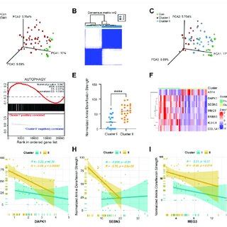 Identification Autophagy Related Key Modules Via Weighted Gene