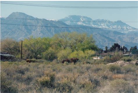 Cannundrums GQC Muddy River To Las Vegas Springs