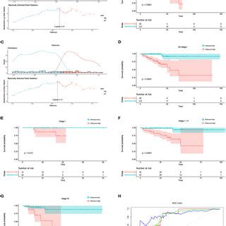 The Risk Score Results Acted As An Independent Prognostic Factor In