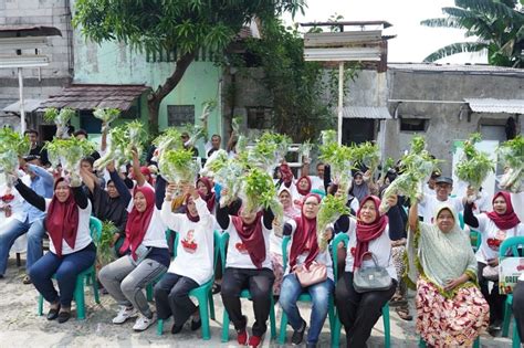 Renovasi Media Tanam Di Pulogadung OMG Bantu Petani Kota Lebih Produktif