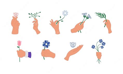 Premium Vector Set Illustration Of Hands Holding Flower Element Collection Hands Hold