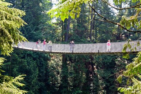 View Of Capilano Suspension Bridge Park In North Vancouver At Winter