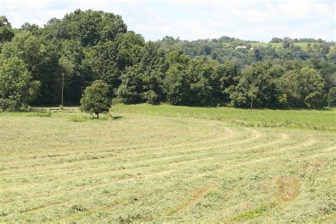 When Is The Right Time To Re Seed Your Hayfield Farm And Dairy