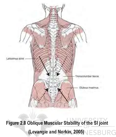 Figure From The Effects Of Ischaemic Compression Vs Integrated