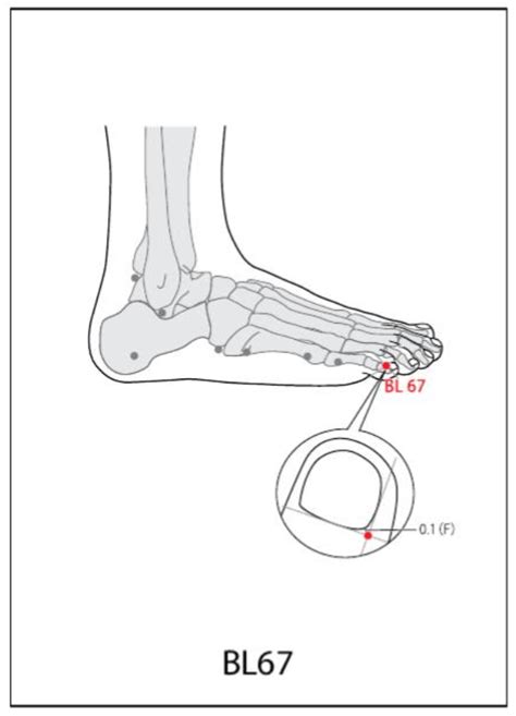 Bl 67 Acupuncture Point Acupuncture Point Locations Review