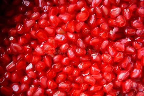 Close Up Of Red Color Pomegranates Seeds Selective Focusing Stock